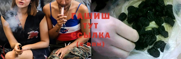 индика Дмитриев