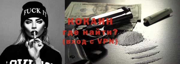 индика Дмитриев