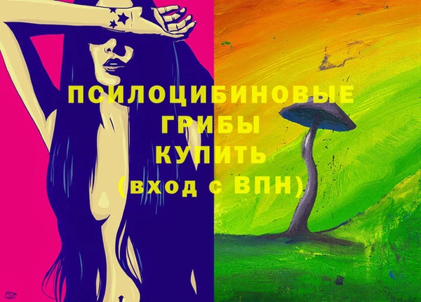 амф Дмитровск