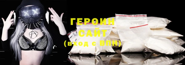 индика Дмитриев
