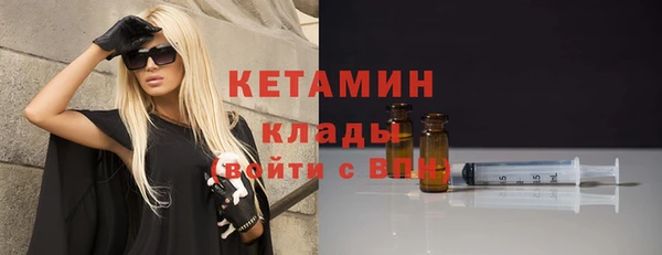 индика Дмитриев