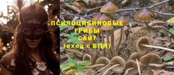 apvp Дмитров