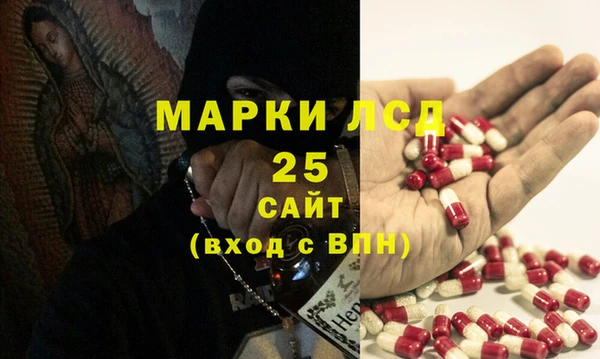 индика Дмитриев