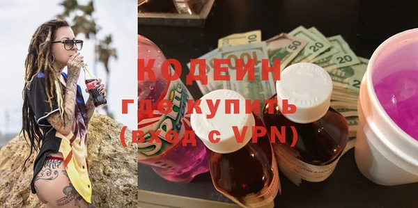 индика Дмитриев