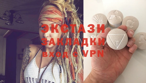 индика Дмитриев