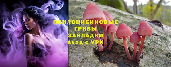 амф Дмитровск