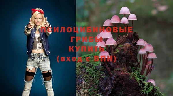apvp Дмитров