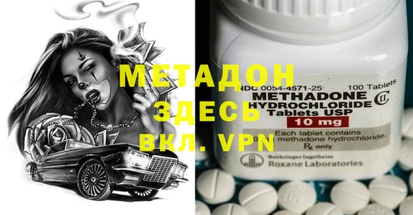 индика Дмитриев