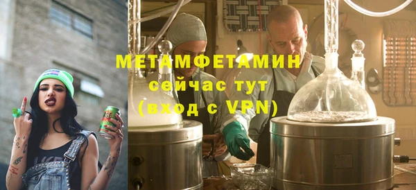 индика Дмитриев