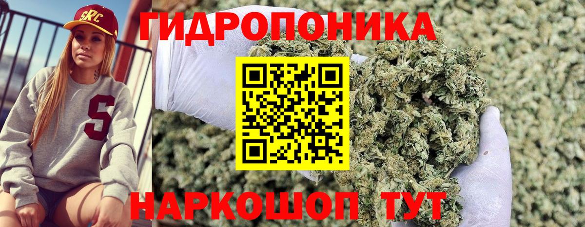 Бошки марихуана SATIVA & INDICA  Бошки марихуана SATIVA & INDICA  Прокопьевск  МАРИХУАНА SATIVA & INDICA  Вход с VPN 